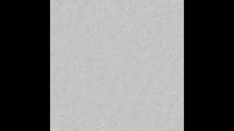 Lydong online show from December 3, 7:47 am