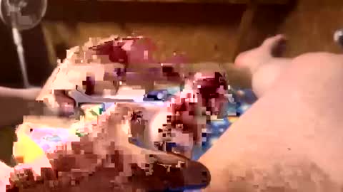 Snapshot of chasepeewee2 chatting on February 8, 6:12 am chasepeewee2 online show from February 8, 6:12 am