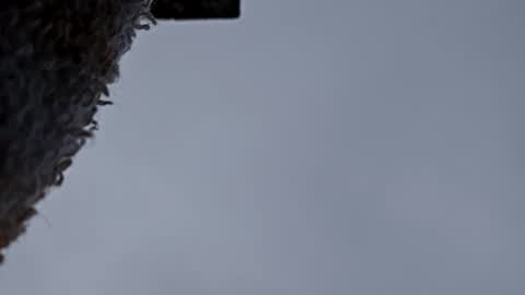 cheffydl online show from November 9, 12:53 pm