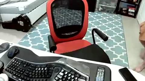 chesbayboy online show from September 16, 6:31 pm