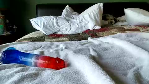 chicagodaddy74 online show from March 11, 8:53 pm