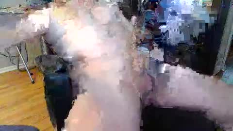 chiphoneman online show from February 8, 2:49 pm