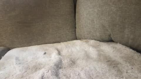 chunkycock8896 online show from January 8, 4:00 pm