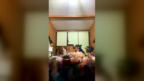 chzljqzbysno online show from February 1, 2:16 pm