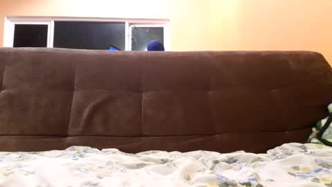 Ernesto online show from September 12, 6:13 am