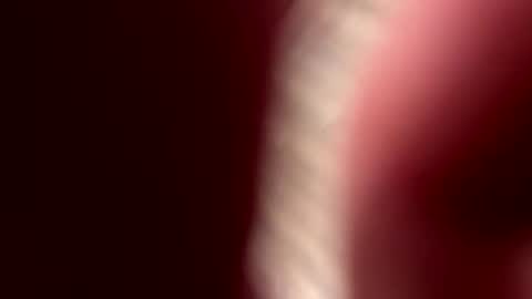 Snapshot of cj3d2 chatting on September 15, 3:30 am Cjd32 online show from September 15, 3:30 am