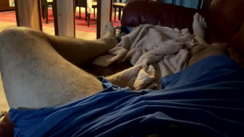 Snapshot of cj3d2 chatting on December 13, 9:52 pm Cjd32 online show from December 13, 9:52 pm