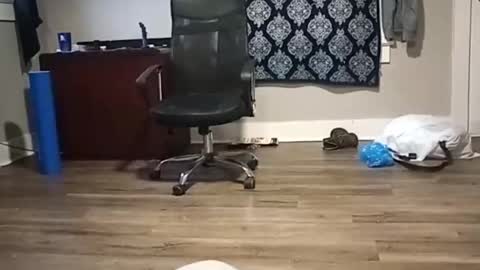 Snapshot of cockgod308236 chatting on October 29, 9:29 pm cockgod308236 online show from October 29, 9:29 pm