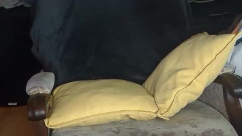 Cocky online show from September 11, 11:15 pm