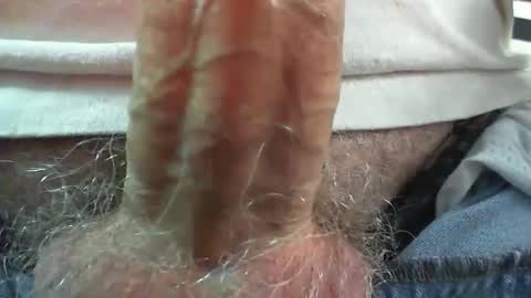 Snapshot of comox1961 chatting on September 29, 8:35 am comox online show from September 29, 8:35 am