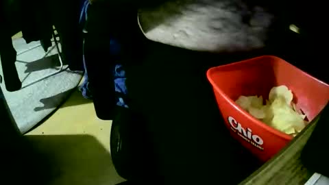 coyote017 online show from October 22, 6:21 pm