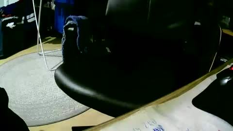 coyote017 online show from February 2, 5:21 am