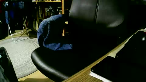 coyote017 online show from January 9, 6:47 pm