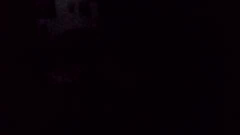 cris_master_ online show from December 4, 11:06 am