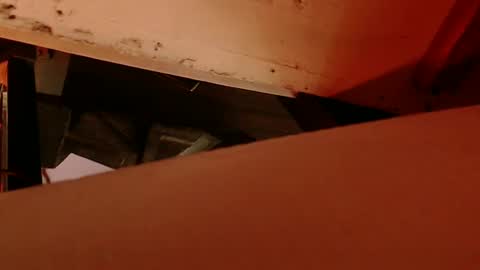 Snapshot of cryan78 chatting on February 4, 8:56 am cryan96 online show from February 4, 8:56 am