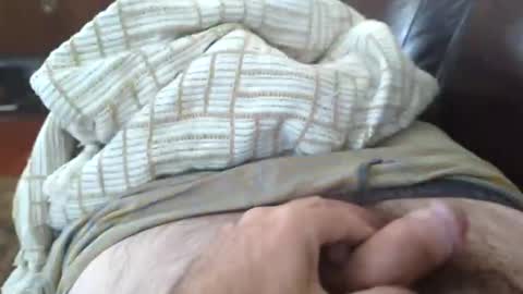 cubforotter online show from November 2, 5:28 pm