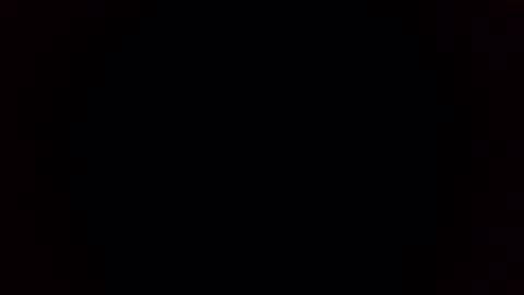 Breeding Bull USA online show from February 3, 9:36 am