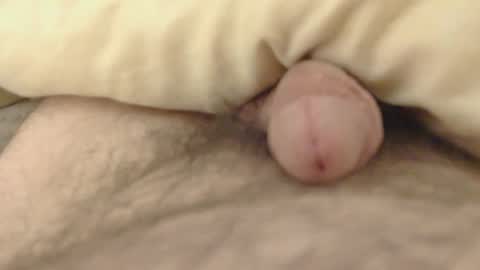 cumtaste911 online show from January 19, 4:33 am