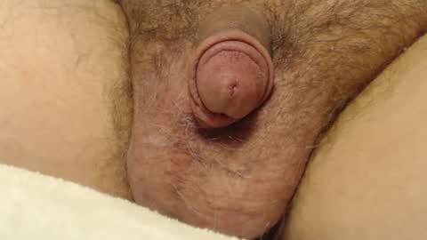 curve66 online show from January 10, 9:30 pm