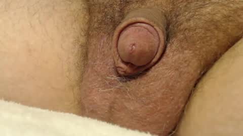 curve66 online show from October 22, 12:58 am