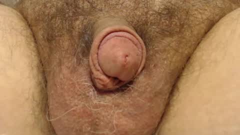 curve66 online show from February 6, 4:25 pm