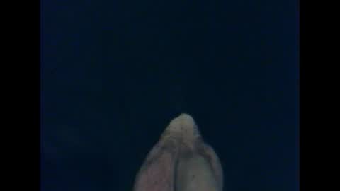 Snapshot of cutieguy86 chatting on October 26, 1:40 am CutieBoy online show from October 26, 1:40 am