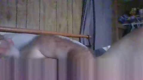 cwill27837 online show from October 9, 5:07 pm