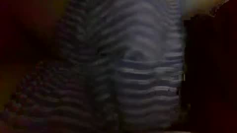 Snapshot of daboy_t chatting on January 5, 1:15 pm Daboy-t online show from January 5, 1:15 pm