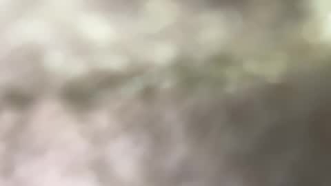 dakken online show from January 4, 1:21 pm