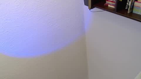 JamesDali online show from February 11, 8:10 pm