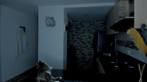 INSTAGRAM  DAMMIANMILLEROFICIAL online show from February 15, 12:24 pm