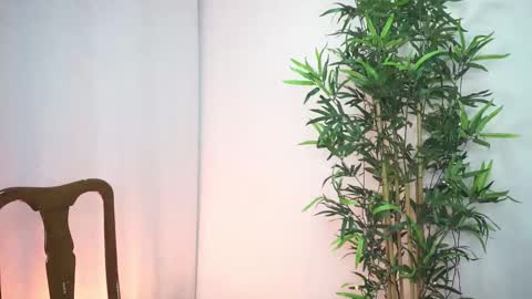 damon_frost online show from October 1, 10:25 pm