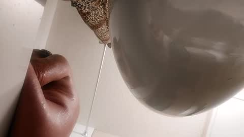 danimal5000 online show from September 18, 6:15 am