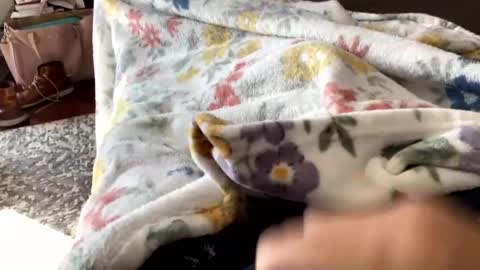 dannyboy621 online show from November 2, 3:16 pm