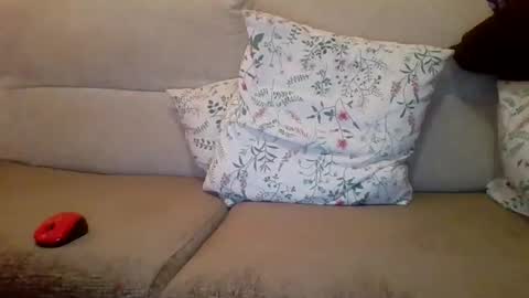 danydotado online show from December 21, 7:38 pm