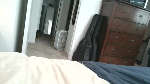 dapppper online show from March 29, 2:06 pm