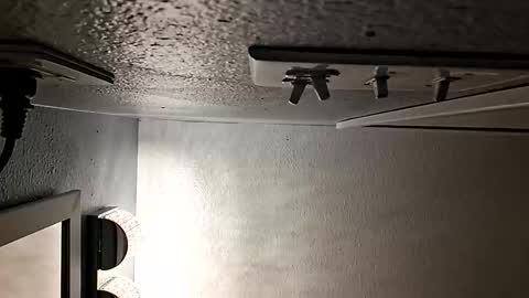 Snapshot of david_stone1969 chatting on October 20, 1:59 pm david_stone1969 online show from October 20, 1:59 pm