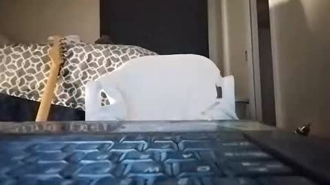 Snapshot of david_stone1969 chatting on January 26, 3:38 am david_stone1969 online show from January 26, 3:38 am