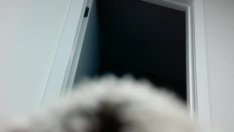 Davvyd online show from September 18, 4:31 pm