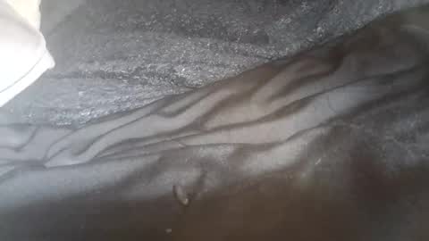 ddick0303 online show from June 8, 6:47 am