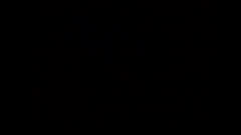 denier online show from February 28, 2:53 am