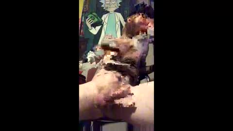 Steven online show from March 12, 5:37 am