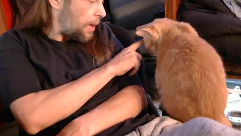 desolation2012 online show from November 1, 7:51 pm