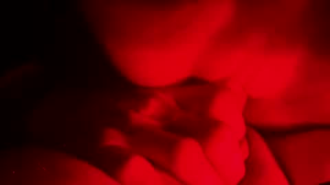 detectivearcor online show from October 19, 9:56 am