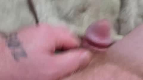 Devil tutor online show from October 3, 9:36 am