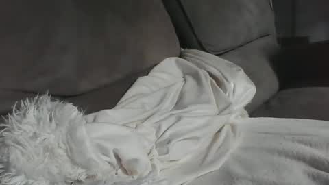 dick online show from October 25, 12:07 pm