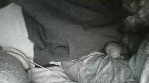 dick online show from January 10, 11:33 am