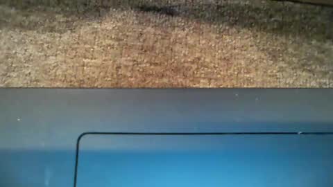 Bigmick online show from January 5, 1:04 pm