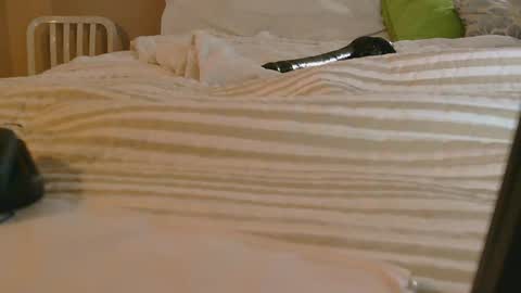 dildosnme22 online show from February 9, 11:15 am