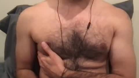 direwolf777 online show from November 11, 7:24 am